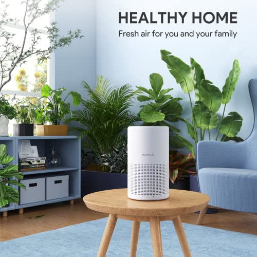 Air Purifiers for Bedroom, FULMINARE H13 True HEPA Filter Up to 1086 Ft² | Remove Pet Hair, Smoke, Odors, 20 dB Quiet Air Cleaner with Night Light, Portable Air Purifier for Home, Office, Living Room