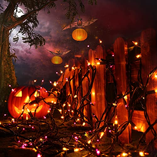 Orange & Purple Halloween Lights, 12.5ft 50 Count Incandescent String Light | UL Certified Connectable Mini Bulbs String Lights for Outdoor, Indoor, Garden, Porch, Party, Home, Halloween Decor