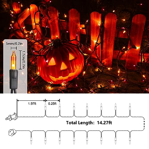 Orange & Purple Halloween Lights, 12.5ft 50 Count Incandescent String Light | UL Certified Connectable Mini Bulbs String Lights for Outdoor, Indoor, Garden, Porch, Party, Home, Halloween Decor