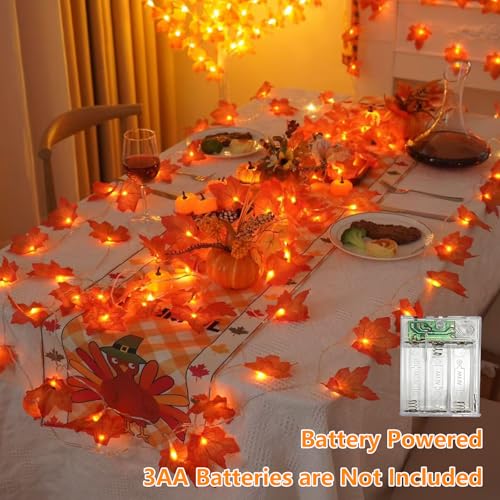 YEGUO 2 Packs Fall Lights Battery Operated, Total 20ft 40 LED Lighted Fall Garland Maple Leaves for Holiday Autumn Harvest Fall Thanksgiving Halloween Decor