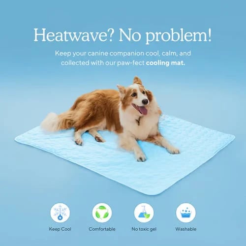 ⏳🔥NUR FÜR BEGRENZTE ZEIT: ! 🐶 Kühlmatte für Hunde – 4-mal effektivere Kühlung für heiße Sommertage ❄️✨