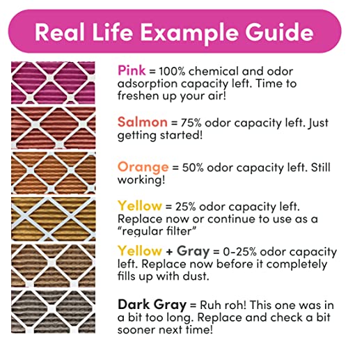 Colorfil 20x20x1 Air Filter (2-Pack) | Made in the USA | Color Changing | Remove Cat and Dog Odor | MERV 8 for Pet Hair Dander and Dust | 19.5"x19.5"x0.75" Exact Size