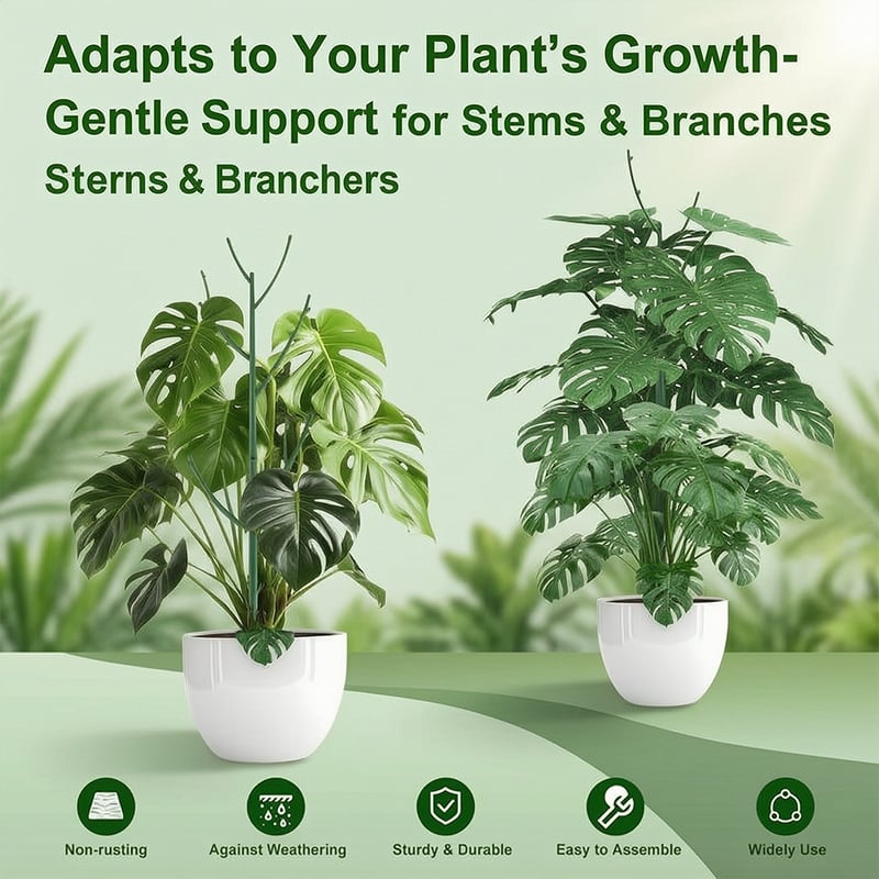 🔥Adjustable Plant Support Stakes – Easy Climbing Support for Indoor & Outdoor Plants
