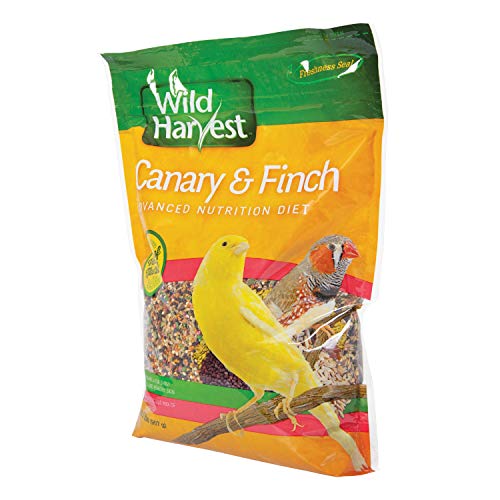 Wild Harvest Advanced Nutrition Bird Food For Canary & Finch, 2 lbs | Daily Blend Of Seeds & Grains, Wide Variety Encourages Foraging Behavior, Advanced Nutrition For Healthy Skin & Feathers