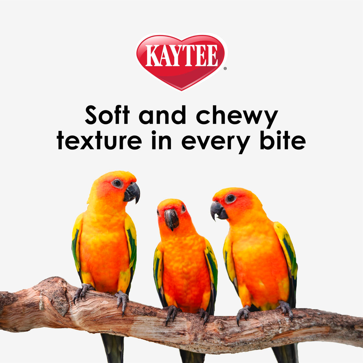 Kaytee Nutri Soft Pet Parrot & Conure Bird Food, 3 Pound