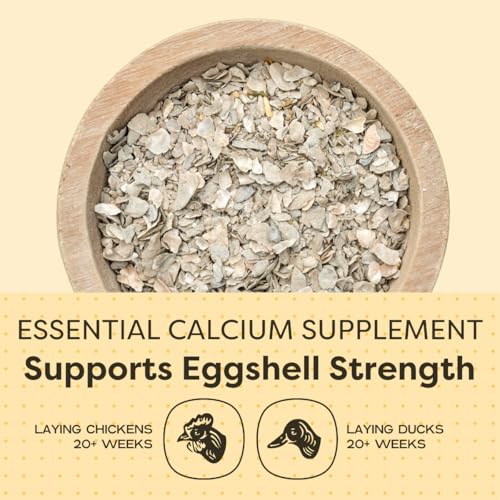 Scratch and Peck Feeds | Oyster Shell Chickens & Ducks | 4 lb Pouch | Essential Calcium Supplement for Eggshell Strength and Hen Health, All Natural, Sustainably Sourced