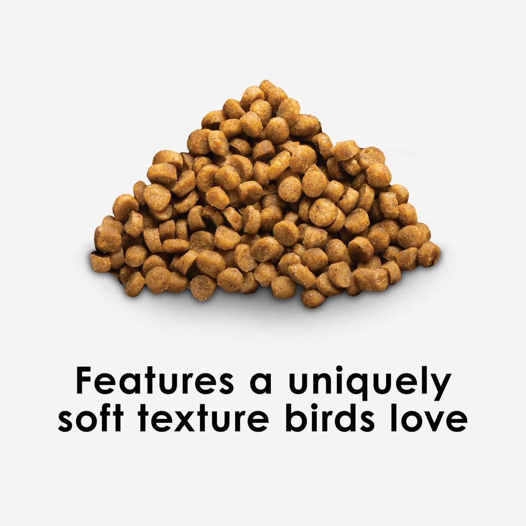 Kaytee Nutri Soft Pet Parrot & Conure Bird Food, 3 Pound
