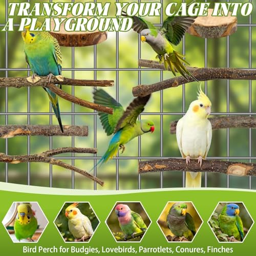 8-Piece Natural Wood Bird Perches for Budgie and Parakeet Cages