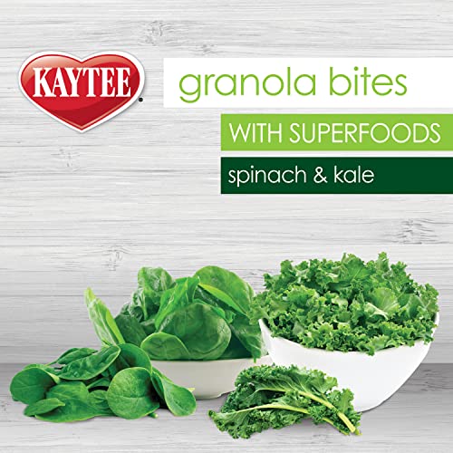 Kaytee Granola Bites with Super Foods Spinach and Kale for Pet Birds, Conure, Cockatiel, Lovebird, Parakeet, Amazon, African Grey, Ecletus, Pionus, Cockatoos and Macaws, 4.50 Ounce (Pack of 1)