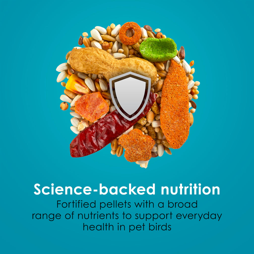Kaytee Forti-Diet Pro Health+Safflower Parrot Food, 4 Pounds | Better digestion daily. Parrot food for medium birds. Prebiotics, probiotics, bird seed without sunflower seeds