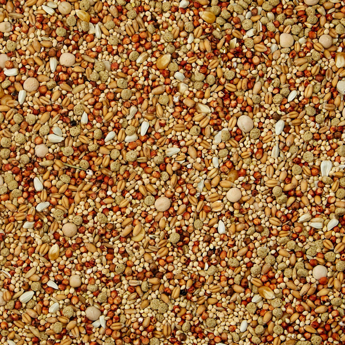 Kaytee Supreme Dove Food, Dove Bird Seed, 5 Pounds | Balanced daily nutrition. Whole-grain birdseed with seeds, grains and pellets. Bird food, no artificial colors or flavors