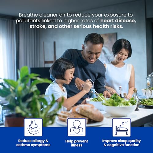 AprilAire 410 Replacement Filter for AprilAire Whole House Air Purifiers - MERV 11, Clean Air & Dust, 16x25x4 Air Filter (Pack of 1)
