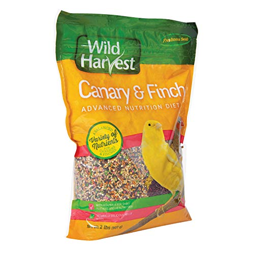 Wild Harvest Advanced Nutrition Bird Food For Canary & Finch, 2 lbs | Daily Blend Of Seeds & Grains, Wide Variety Encourages Foraging Behavior, Advanced Nutrition For Healthy Skin & Feathers