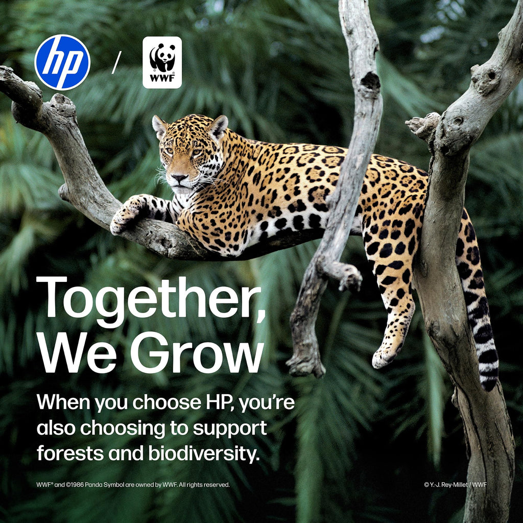HP DeskJet 2955 Color Inkjet Printer | Wireless | All-in-One | Easy Home Printing | Color Documents | Mobile Compatibility | Print, Scan & Copy | Ideal for Home Use
