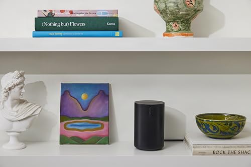 Sonos Era 100 SL Compact, Microphone-Free Speaker - Black | Dual angled tweeters and a powerful midwoofer | Pair Two for Stereo or Add as Soundbar Rears | WiFi | Bluetooth