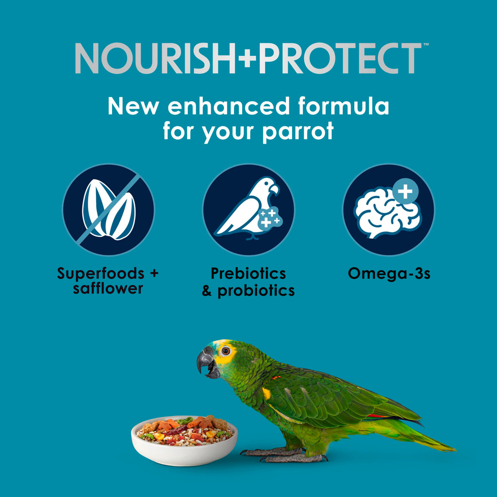 Kaytee Forti-Diet Pro Health+Safflower Parrot Food, 4 Pounds | Better digestion daily. Parrot food for medium birds. Prebiotics, probiotics, bird seed without sunflower seeds