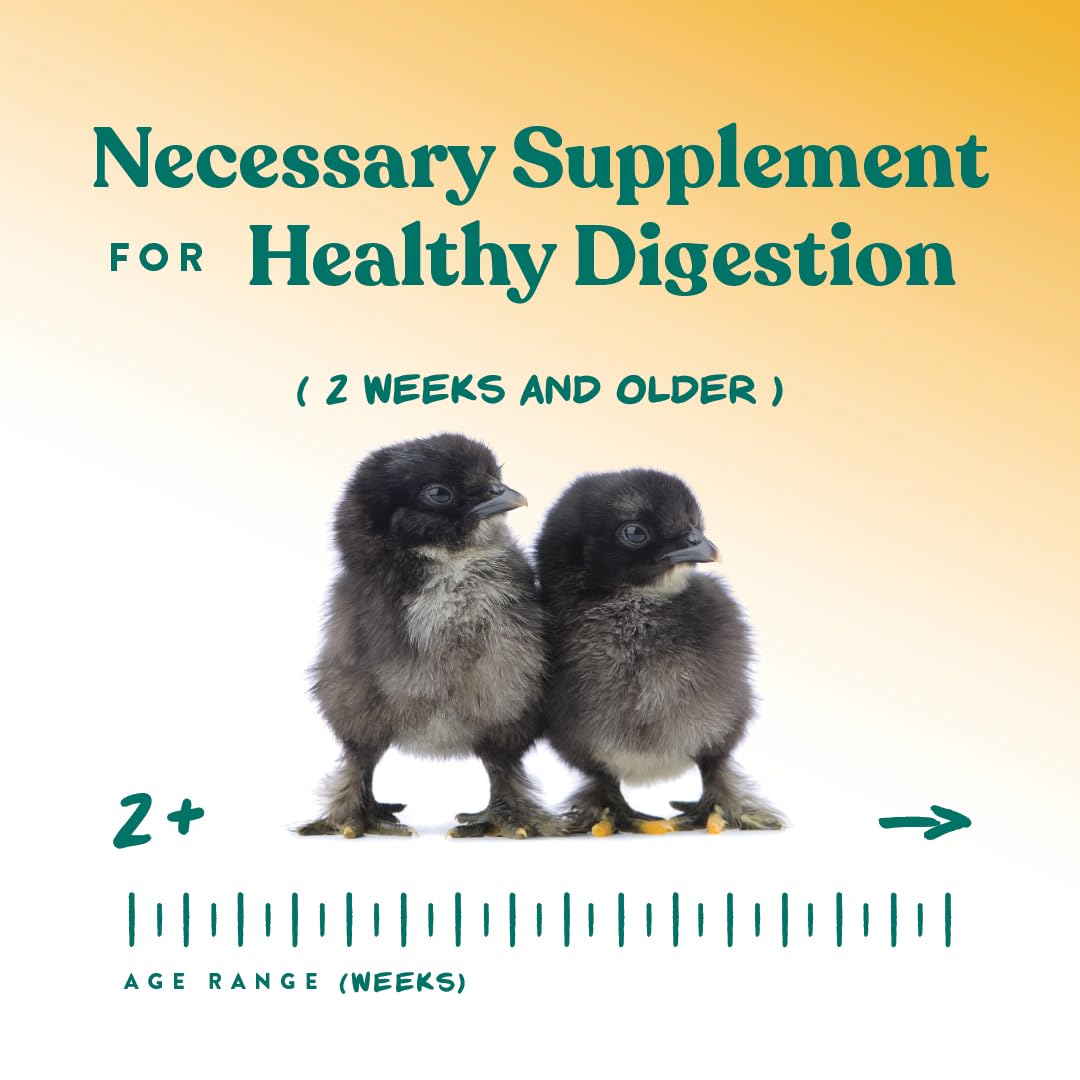 Manna Pro Chick Grit Digestive Supplement for Young Growing Poultry & Bantam Breeds, No Artificial Ingredients or Preservatives, Natural Supplement with Insoluble Crushed Granite, 5 lbs