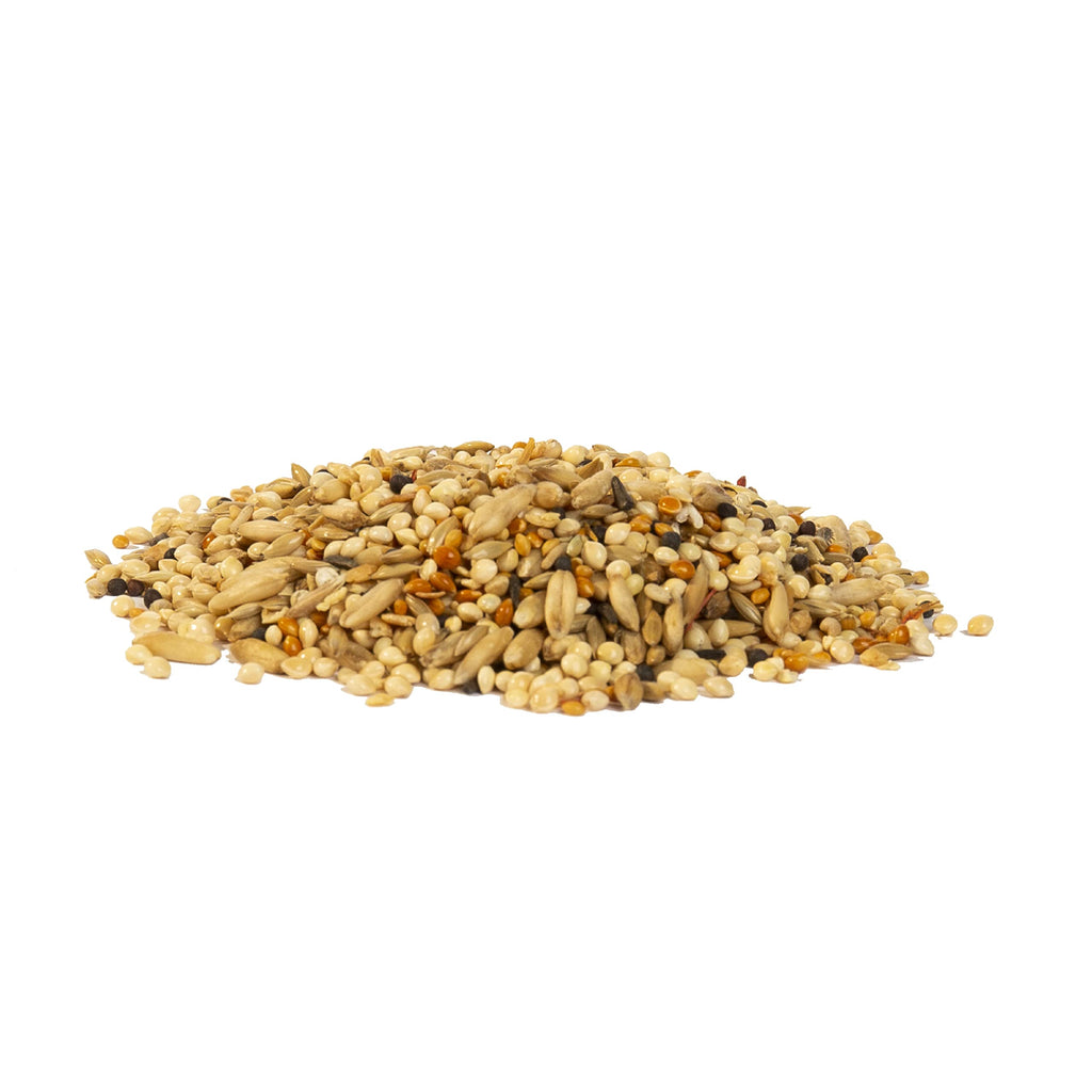 Wild Harvest Healthy Benefits Molting Supplement for All Birds 7.5 oz