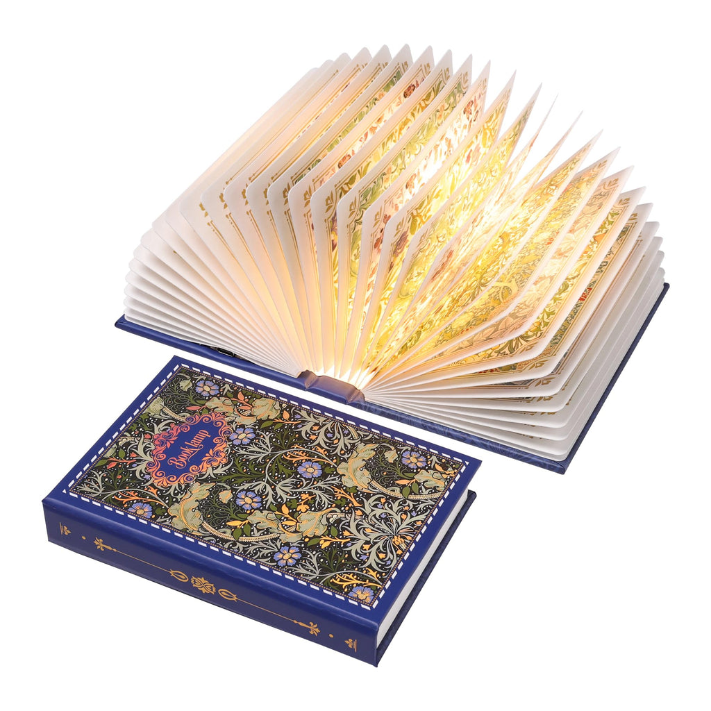 Ba suns Book Lamp Decor, Gift for Book Lovers, Rechargeable Book Light | Reading Light, Portable Paper Lamp with Touch Control, Decor for Home Library Bookshelf, Gift for Women Readers (Blue)
