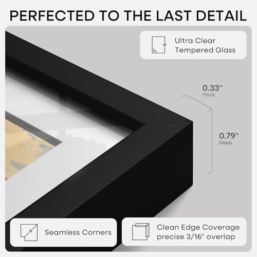 Homeforia 18x24 Black Poster Frame, High-End Metal, 16x20 Mat, Glass