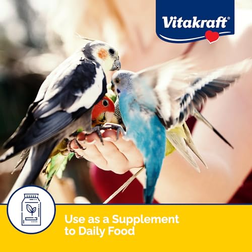 Vitakraft Egg Food for Birds 1.1 lb. | Nutrient-Rich Egg Protein, Fortified Seed & Grain Blend, Breeding & Molting Support, Premium Bird Food, 1.1 lb Pack