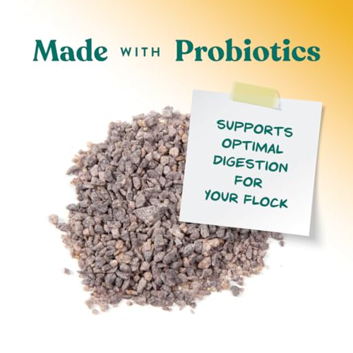 Manna Pro Chick Grit Digestive Supplement for Young Growing Poultry & Bantam Breeds, No Artificial Ingredients or Preservatives, Natural Supplement with Insoluble Crushed Granite, 5 lbs