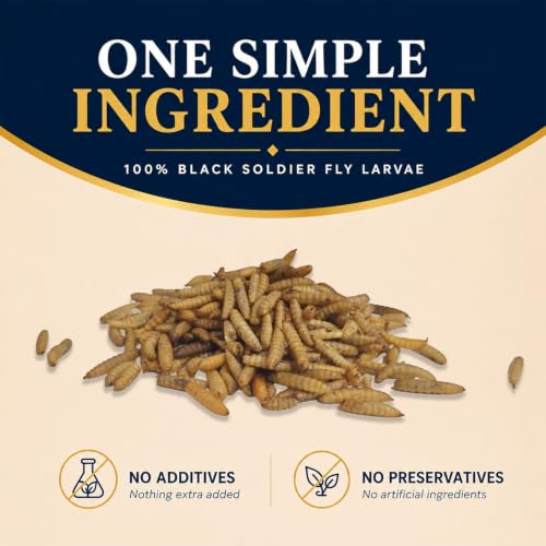 Classic Flock 10LB Dried Black Soldier Fly Larvae for Chickens High Calcium