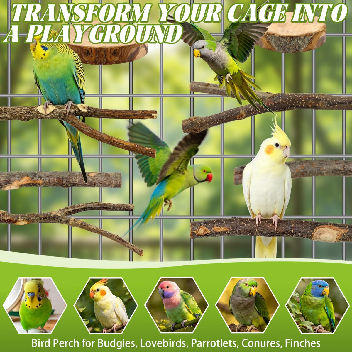 8-Piece Natural Wood Bird Perches for Budgie and Parakeet Cages