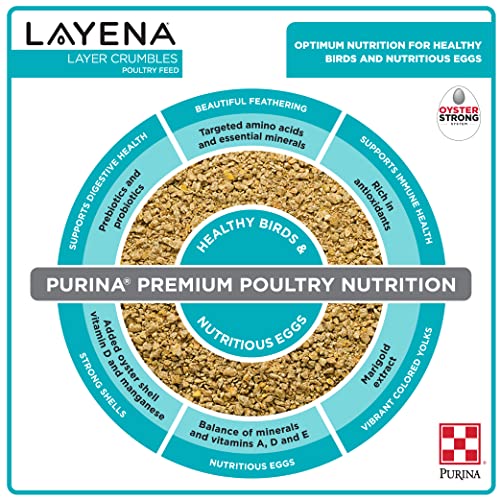 Purina Layena | Nutritionally Complete Layer Hen Feed Crumbles - Chicken Feed | 25 Pound (25 lb) Bag