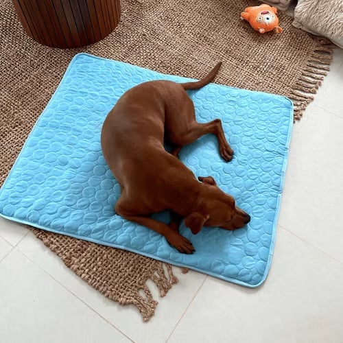 ⏳🔥NUR FÜR BEGRENZTE ZEIT: ! 🐶 Kühlmatte für Hunde – 4-mal effektivere Kühlung für heiße Sommertage ❄️✨