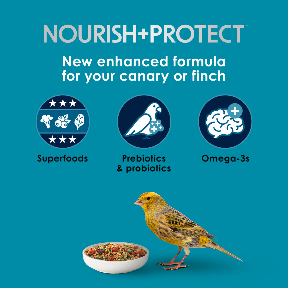 Kaytee Forti-Diet Pro Health Nourish+Protect Canary & Finch Food, 2 Lb | Supports digestion and immunity. Canary food with probiotics and prebiotics. Bird food, omega 3s, naturally preserved
